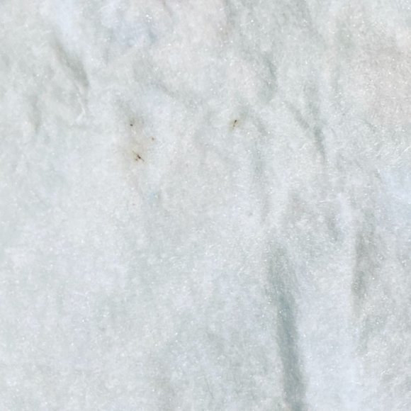 Vintage Fall Tablecloth Square Thanksgiving Pumpkins Squash Acorns 51x51 - Picture 5 of 6